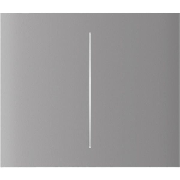 Кнопка центральна для двоклавішного вертикального вимикача Ajax CenterButton Vertical 2-gang for LightSwitch, Jeweler, бездротовий, fog