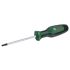 Викрутка Bosch Torx TX25x100мм