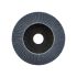 Диск пелюстковий шліфувальний Milwaukee ZIRCONIUM, 125x22.2мм, K80