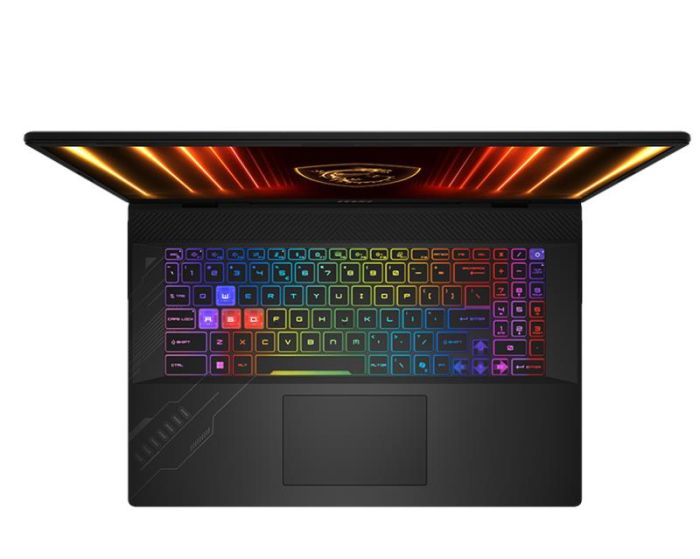 Ноутбук MSI Crosshair A17 HX D8WFKG-023XUA 17" QHD+, AMD R9-8940HX, 32GB, F1TB, NVD5060-8, DOS, чорний