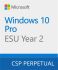 Програмний продукт Microsoft Windows 10 ESU Year 2 (2026 - 2027)
