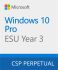 Програмний продукт Microsoft Windows 10 ESU Year 3 (2027 - 2028)
