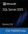 Програмний продукт Microsoft SQL Server 2025 - 1 Device CAL